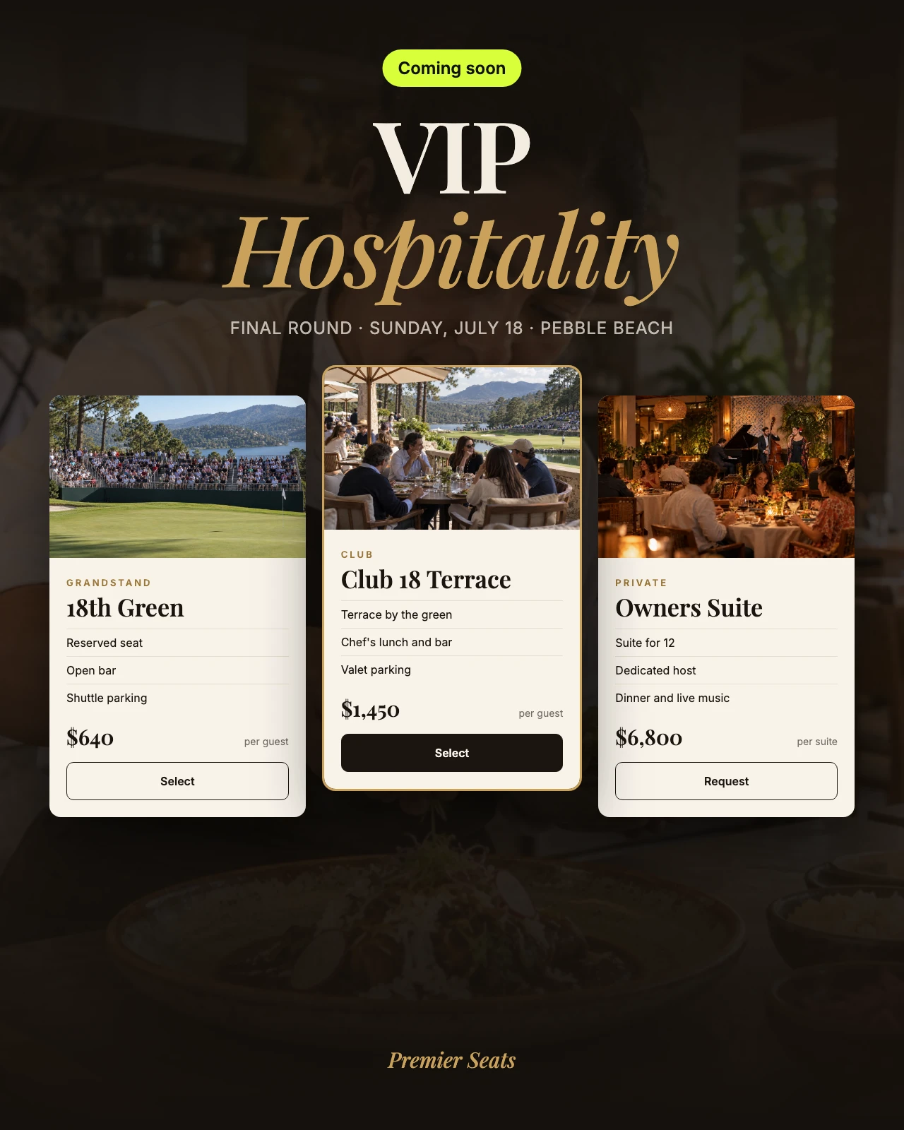 VIP Hospitality — website preview